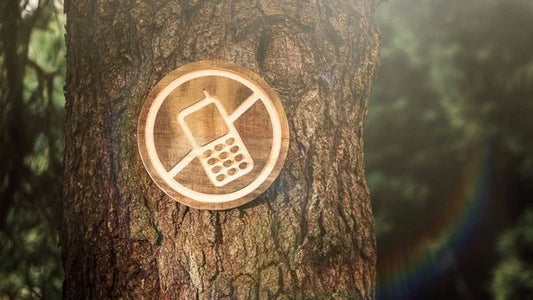 Desintoxicación Digital: Cómo Liberarte del Exceso de Redes Sociales y Recuperar Tu Paz